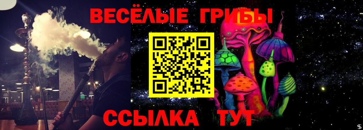 Дмитров  Псилоцибиновые грибы GOLDEN TEACHER  Вход с VPN 
