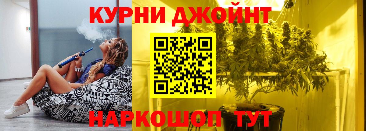 Бошки Шишки конопля  Шишки марихуана MAZAR  Вход с VPN  Дмитров  МАРИХУАНА SATIVA & INDICA 